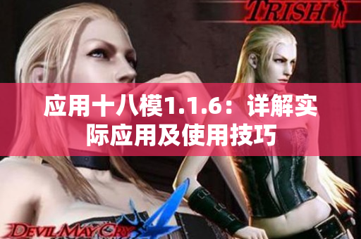 应用十八模1.1.6：详解实际应用及使用技巧