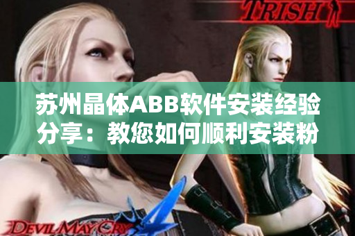 苏州晶体ABB软件安装经验分享：教您如何顺利安装粉色版软件