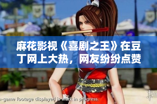 麻花影视《喜剧之王》在豆丁网上大热，网友纷纷点赞力推 给予高度评价
