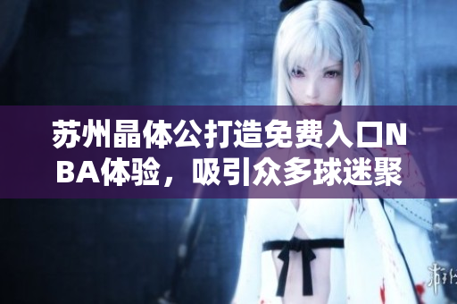 苏州晶体公打造免费入口NBA体验，吸引众多球迷聚集