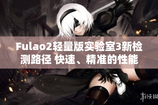 Fulao2轻量版实验室3新检测路径 快速、精准的性能和安全评估