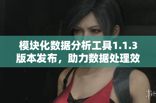 模块化数据分析工具1.1.3版本发布，助力数据处理效率提升