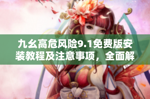 九幺高危风险9.1免费版安装教程及注意事项，全面解析高风险软件安装与应对策略