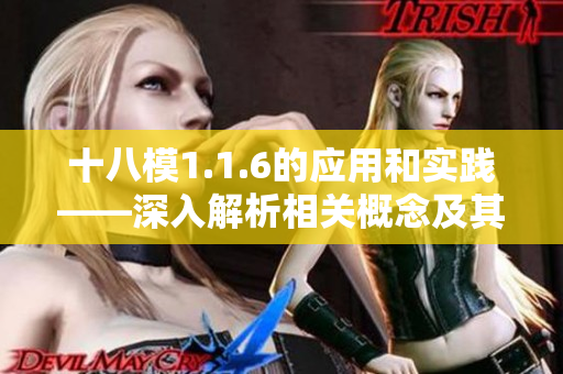 十八模1.1.6的应用和实践——深入解析相关概念及其在现实生活中的运用