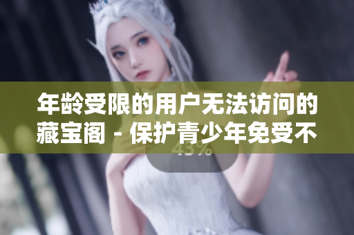 年龄受限的用户无法访问的藏宝阁 - 保护青少年免受不当信息影响