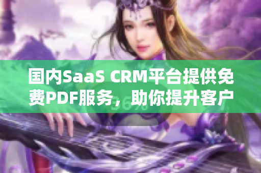 国内SaaS CRM平台提供免费PDF服务，助你提升客户关系管理效率