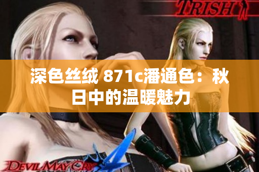 深色丝绒 871c潘通色：秋日中的温暖魅力