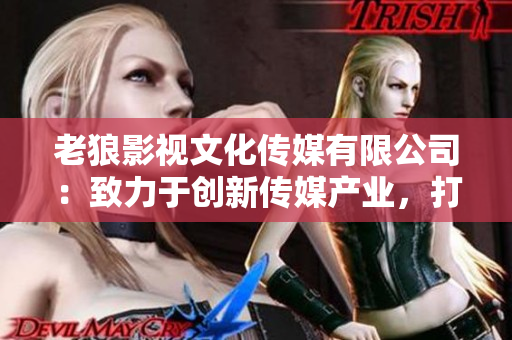老狼影视文化传媒有限公司：致力于创新传媒产业，打造影视文化新格局