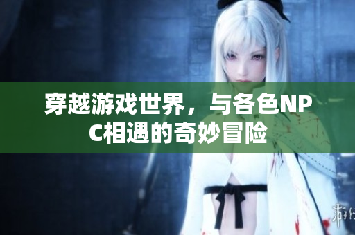 穿越游戏世界，与各色NPC相遇的奇妙冒险
