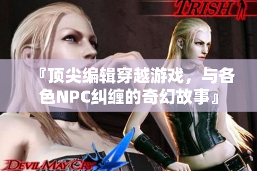『顶尖编辑穿越游戏，与各色NPC纠缠的奇幻故事』