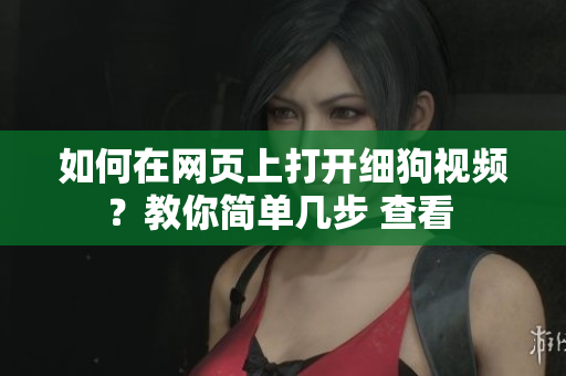 如何在网页上打开细狗视频？教你简单几步 查看 